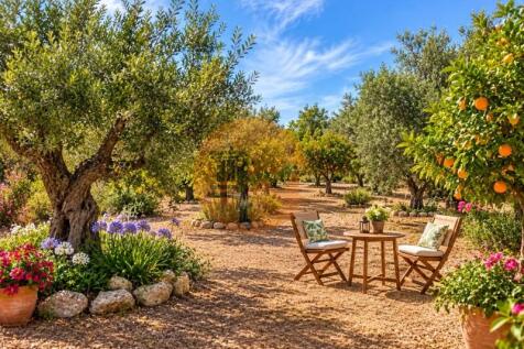 Property Image 29