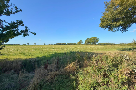 Field Views to Rear