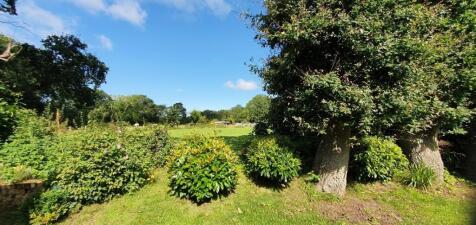 Rear garden view