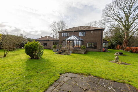Property Image 34