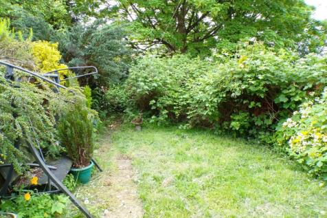 MorseRd37gdn.JPG