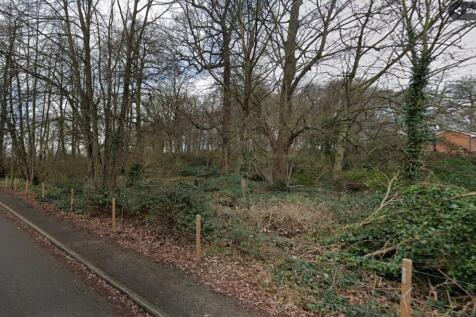 Menagerie Wood street photo.jpg