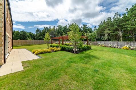 Property Image 41