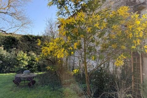 Property Image 50