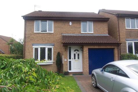 Front.jpg