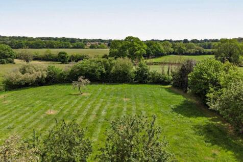 Communal Meadow