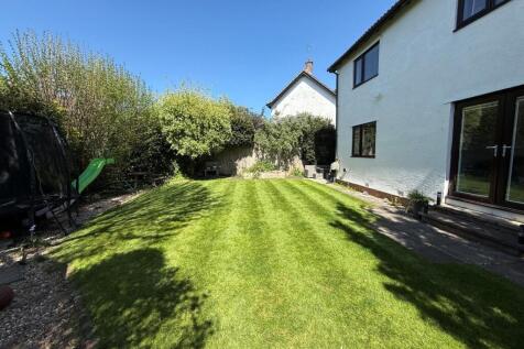 New garden 2.jpg