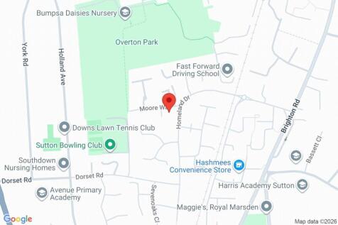 Google Maps Image