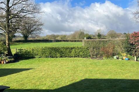 Garden One.JPEG