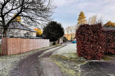 WhatsApp Image 20...