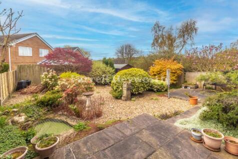 Rear Garden image 2