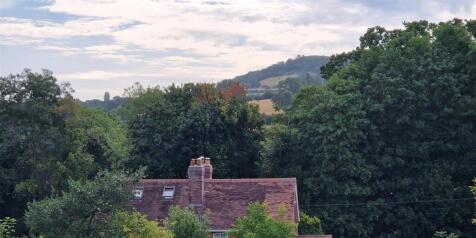 View of the hills from top of the plot.jpg