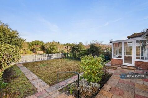 Back Garden