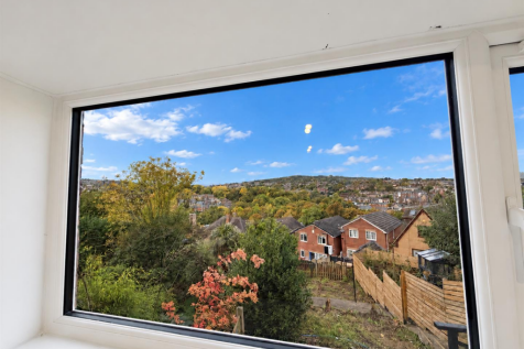 Window Rear View.png