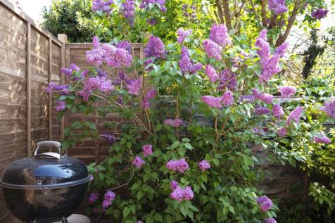 1 Cornwall House,14.jpg