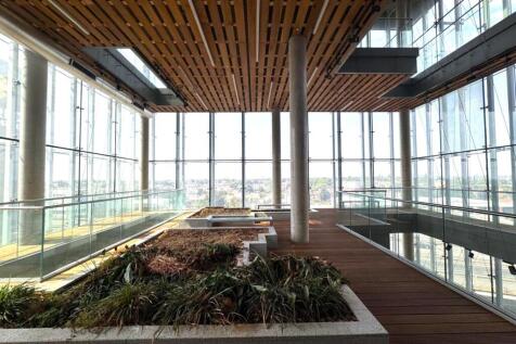 Winter Garden 1.jpeg