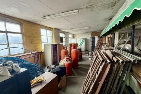 IMG 2684 T202510091423.jpeg