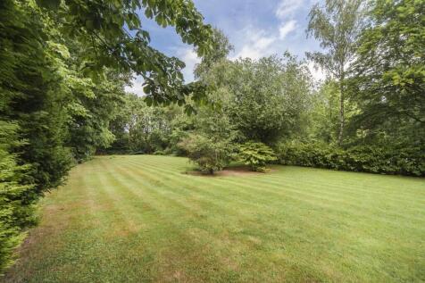 Lettings Windlesham Holm Place 3 - Garden Edit.jpg