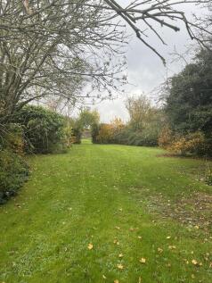 Garden (1)