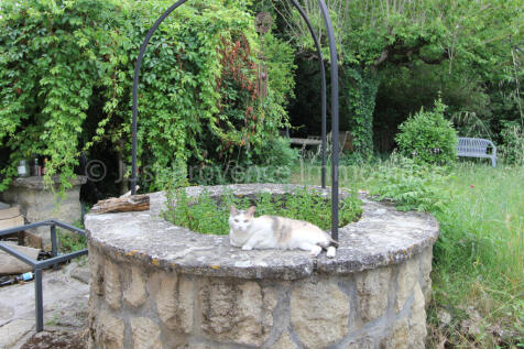 Property Image 12