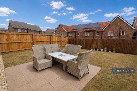 Back Garden