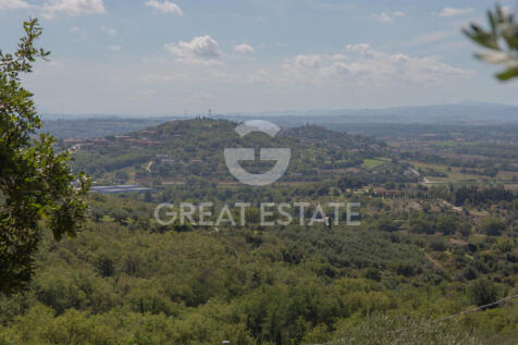 Panorama e Particolari