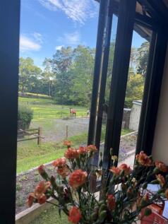 view from kitchen