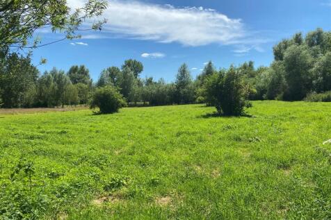 Lolas  Meadow