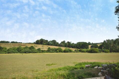 Views