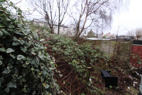 GARDEN T202601151535.jpg
