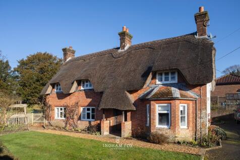 Front of Yew Tree