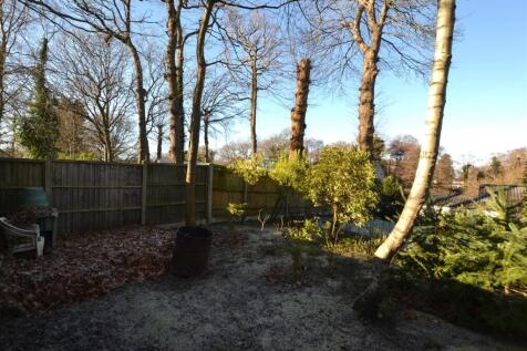 Garden 4 .JPG
