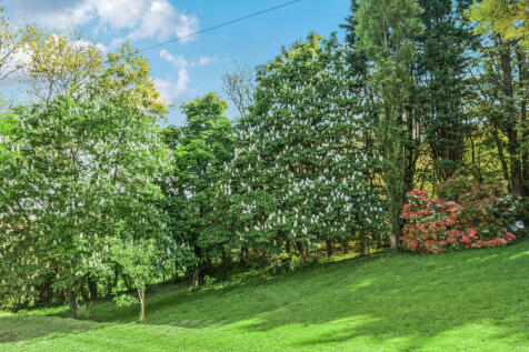 31-681de2e69a5f5-...