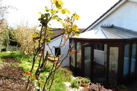 17 RD rear garden.JPG