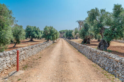 0_MASSERIA ALBERO DOLCE_puglia_raro_realty