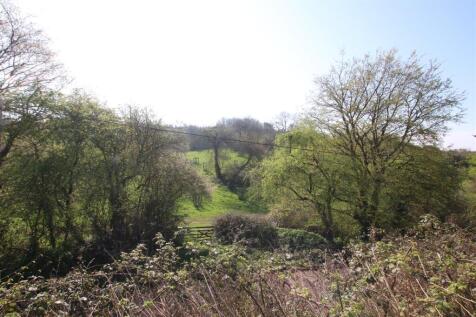 View from Garden.JPG