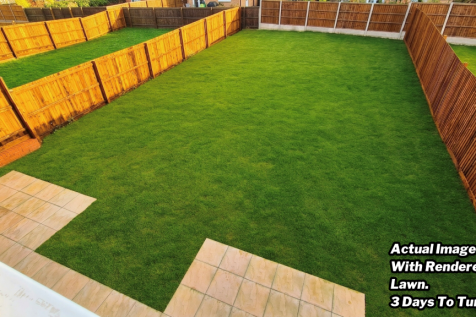 Large Garden