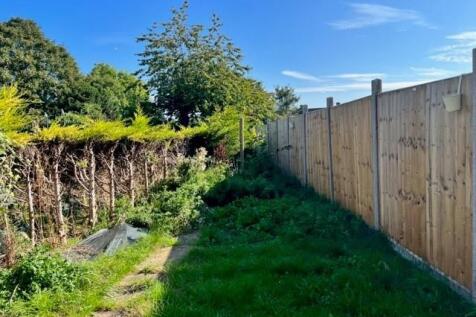 Garden.jpg