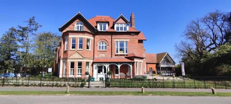 IMG_20230404_133532 edited.jpg