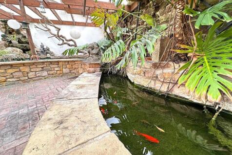 fish pond 2 better shot.jpg