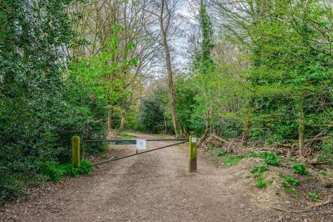 Baldwins Hill-20.jpg