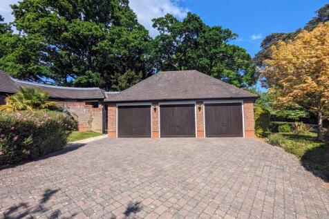 The Rise, Brockenhurst photo 5