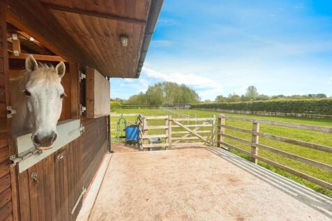 Stables