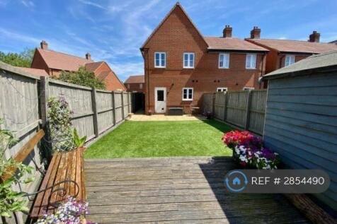 Back Garden 