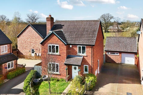 1-69cd1050a0592-1434176 (1)-1