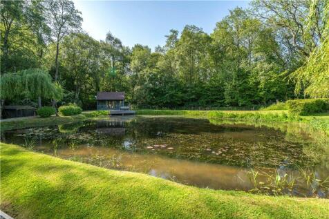 Pond and Home Office