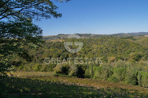 Panorama e Particolari