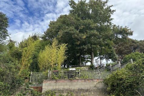 IMG 4654 T202509011412.jpeg