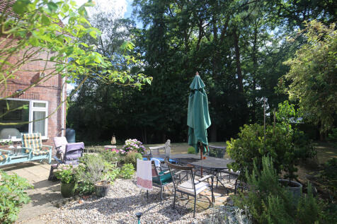 Patio garden 