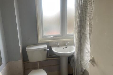 IMG 5726 T202601141936.jpeg